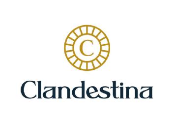 Imagen de Clandestina