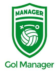 Imagen de MANAGER GOL MANAGER