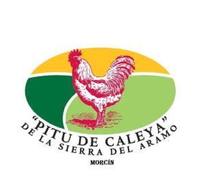 Imagen de 