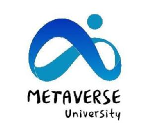 Imagen de METAVERSE UNIVERSITY