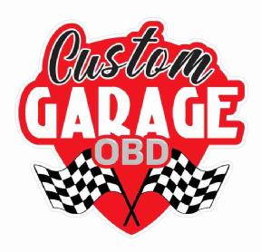 Imagen de CUSTOM GARAGE OBD
