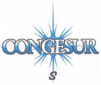 Imagen de CONGESUR S