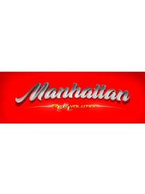Imagen de MANHATTAN REELVOLUTION
