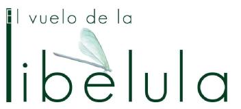 Imagen de El vuelo de la libélula