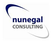 Imagen de NUNEGAL CONSULTING