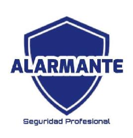 Imagen de Alarmante Seguridad Profesional
