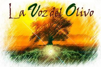 Imagen de LA VOZ DEL OLIVO
