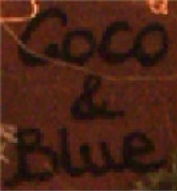 Imagen de COCO & BLUE