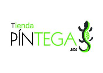 Imagen de Tienda PÍNTEGA.es