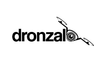 Imagen de Dronzalo