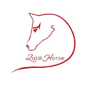 Imagen de Zaldi Horse