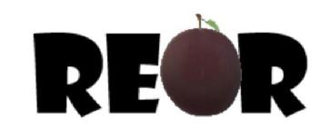 Imagen de REOR