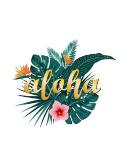 Imagen de ALOHA