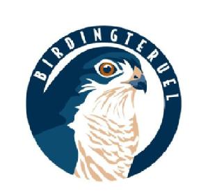 Imagen de BIRDING TERUEL