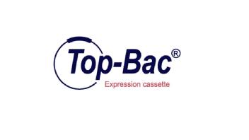 Imagen de TOP-BAC EXPRESSION CASSETTE