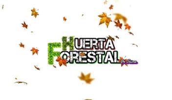 Imagen de HUERTA FORESTAL DE JAIME