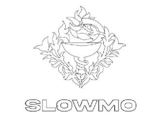 Imagen de SLOWMO