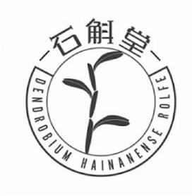 Imagen de DENDROBIUM HAINANENSE ROLFE, FIG
