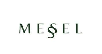Imagen de MESSEL