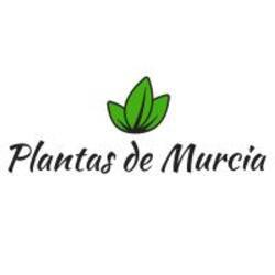Imagen de Plantas de Murcia