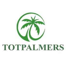 Imagen de TOT PALMERS