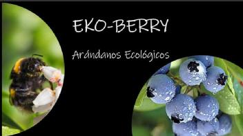 Imagen de EKO-BERRY Arándanos Ecológicos