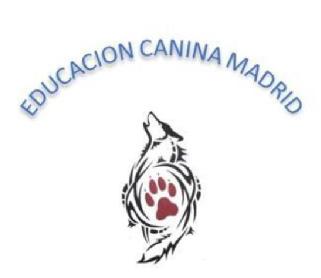 Imagen de EDUCACION CANINA MADRID