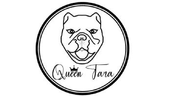 Imagen de Queen Tara