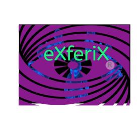 Imagen de eXferiX R