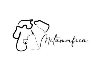 Imagen de Metamorfica