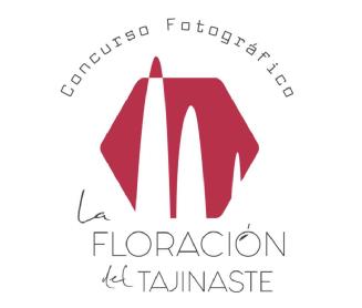 Imagen de CONCURSO FOTOGRÁFICO LA FLORACIÓN DEL TAJINASTE