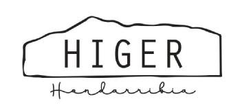 Imagen de Higer Hondarribia