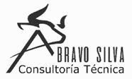 Imagen de BRAVO SILVA CONSULTORÍA TÉCNICA