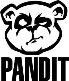 Imagen de PANDIT