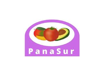Imagen de PanaSur