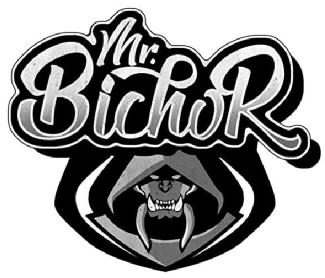 Imagen de Mr. BichoR