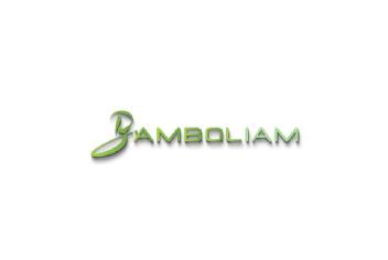 Imagen de BAMBOLIAM