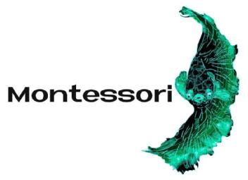 Imagen de Montessori