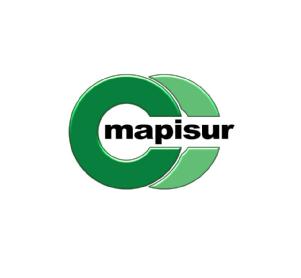 Imagen de mapisur