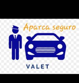 Imagen de APARCA SEGURO VALET