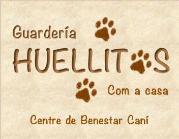 Imagen de GUARDERIA HUELLITAS COM A CASA. CENTRE DE BENESTAR CANÍ