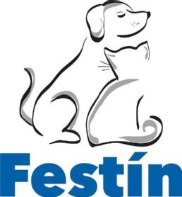 Imagen de FESTIN