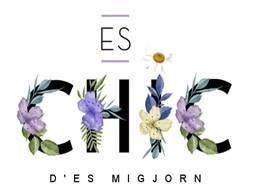 Imagen de ES CHIC D\'ES MIGJORN