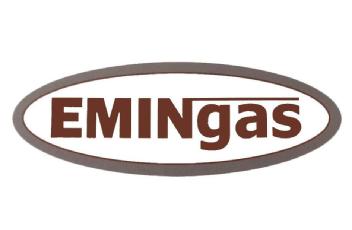 Imagen de EMINGAS