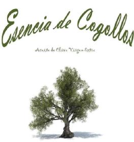 Imagen de ESENCIA DE COGOLLOS ACEITE DE OLIVA VIRGEN EXTRA