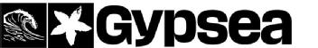 Imagen de gypsea