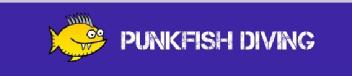 Imagen de Punkfish Academy o Punkfish Diving