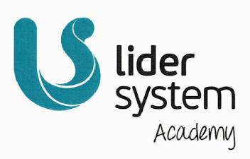 Imagen de LIDER SYSTEM ACADEMY