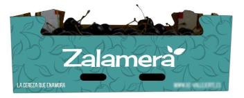Imagen de ZALAMERA LA CEREZA QUE ENAMORA