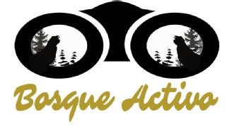Imagen de BOSQUE ACTIVO
